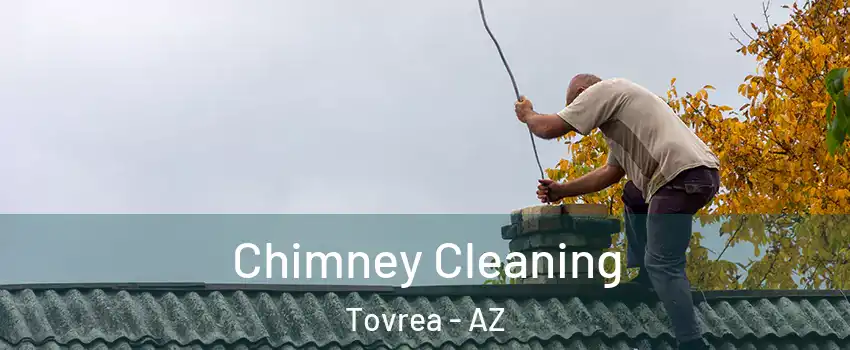 Chimney Cleaning Tovrea - AZ