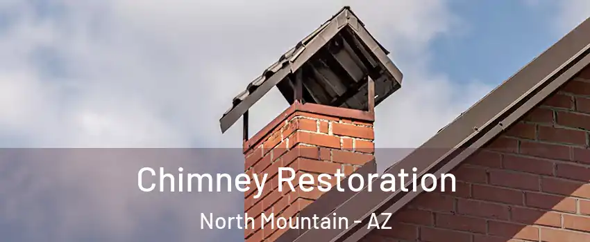 Chimney Restoration North Mountain - AZ