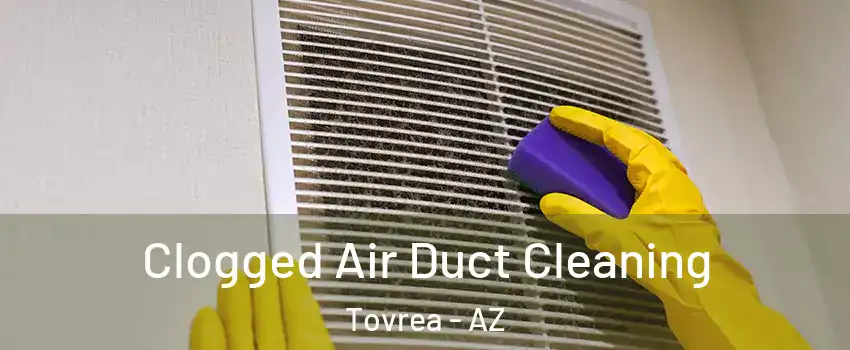 Clogged Air Duct Cleaning Tovrea - AZ