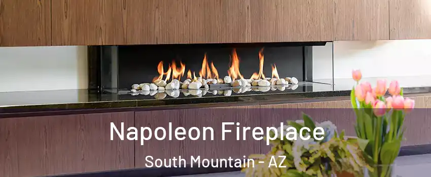 Napoleon Fireplace South Mountain - AZ